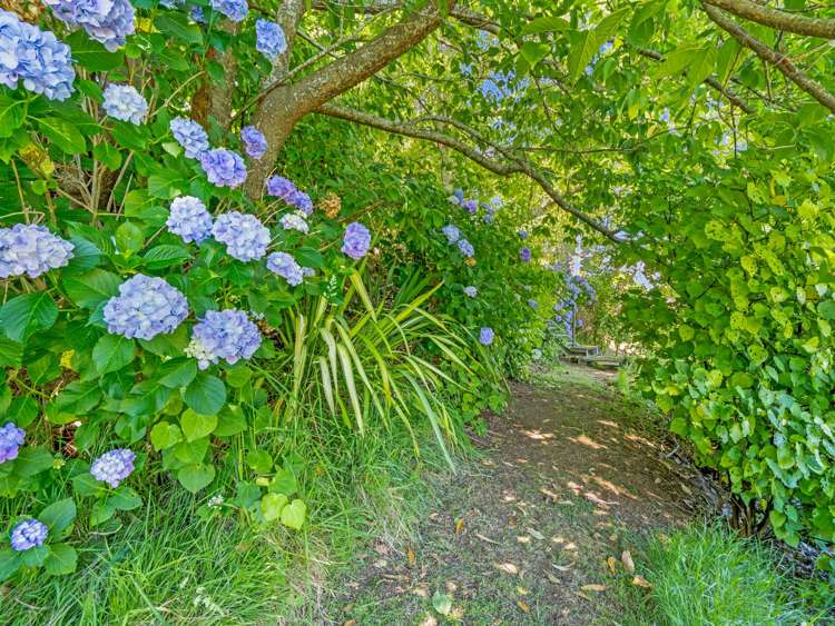 24 Burke Road Whakatane_10