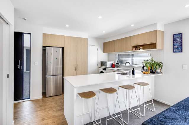 44c Bletsoe Avenue Spreydon_2