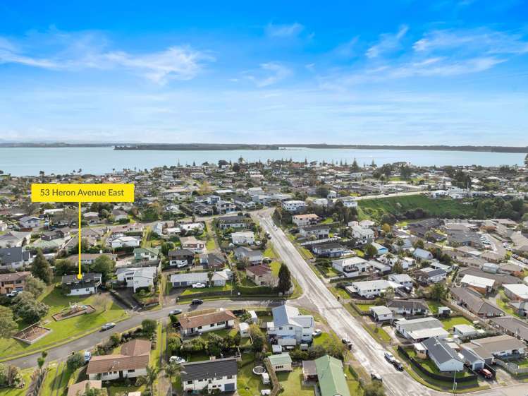 53 Heron Avenue East Matua_5