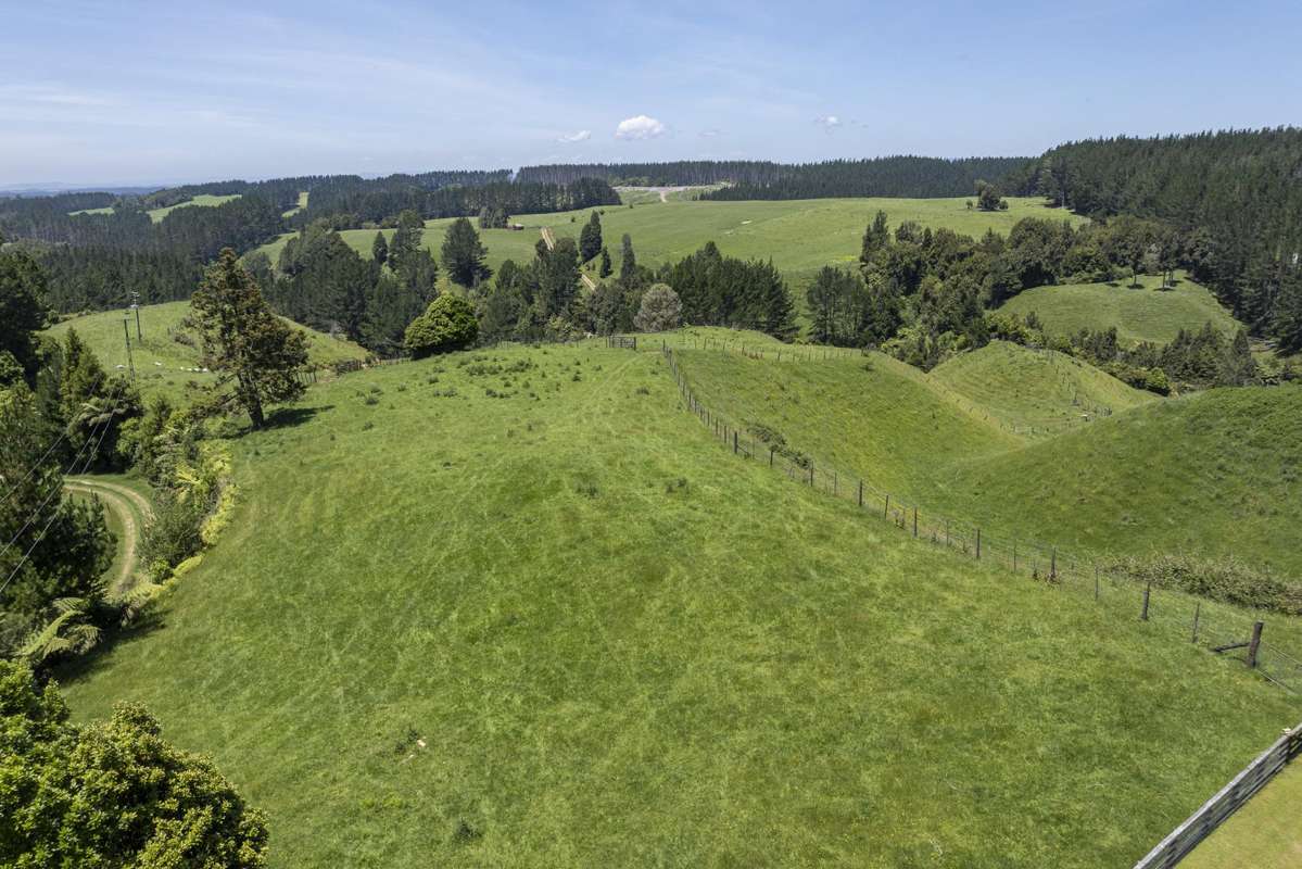 1707 Te Matai Road_1