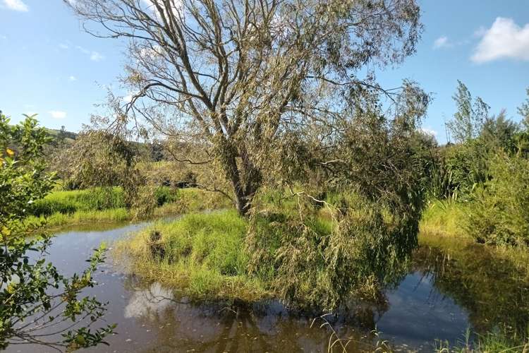 167 Tara Road Mangawhai_2