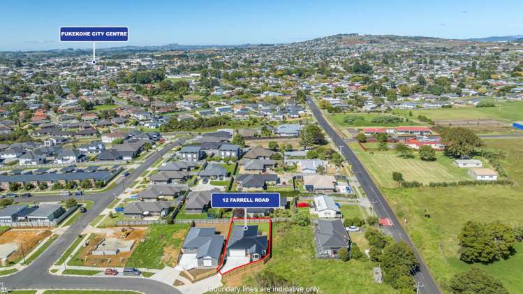 12 Farrell Road Pukekohe_18