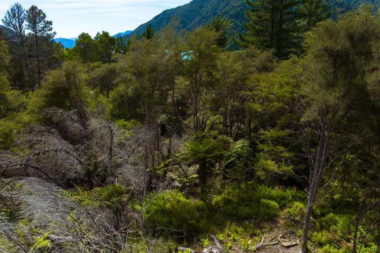 Lot 1 Nydia Bay Marlborough Sounds_21