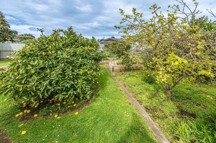 26 Totara Street Tawhero_24