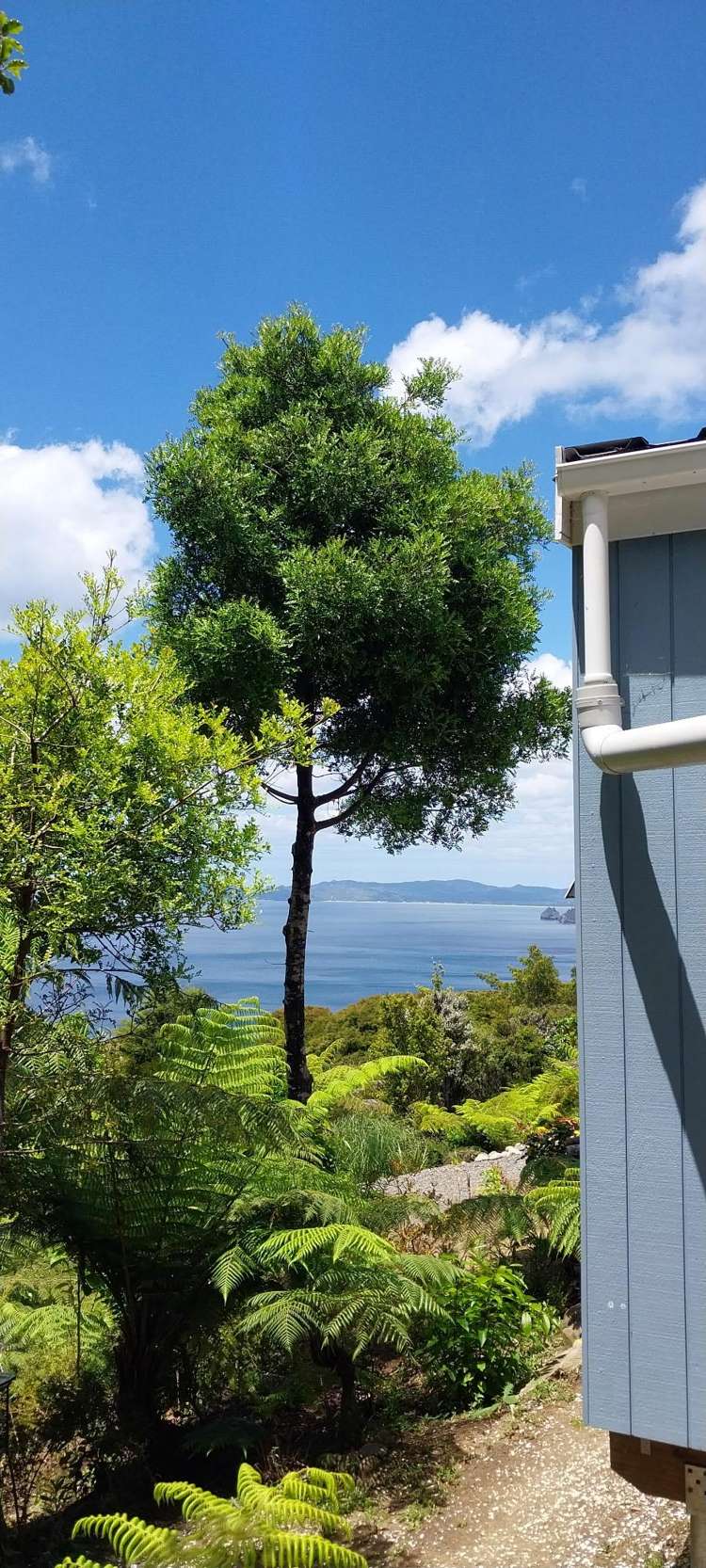 525A Tuateawa Road Tuateawa_22