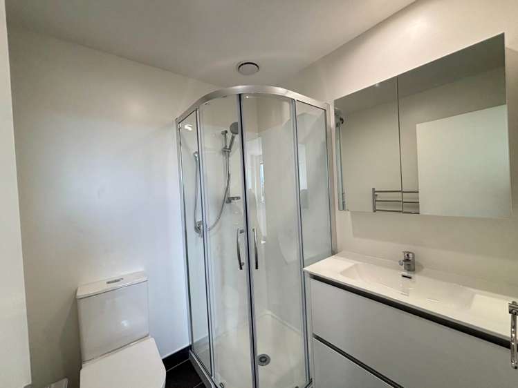 42 Long George Drive Flat Bush_9