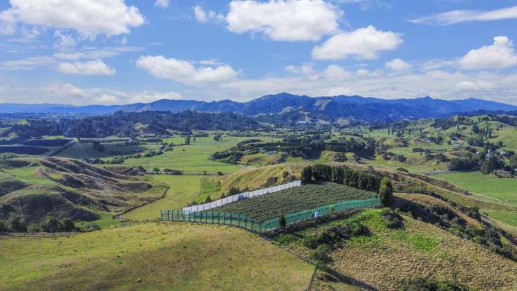 443C State Highway 2 Opotiki_14