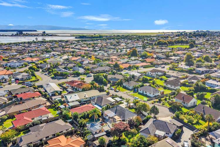 10 Homer Street Stoke_29