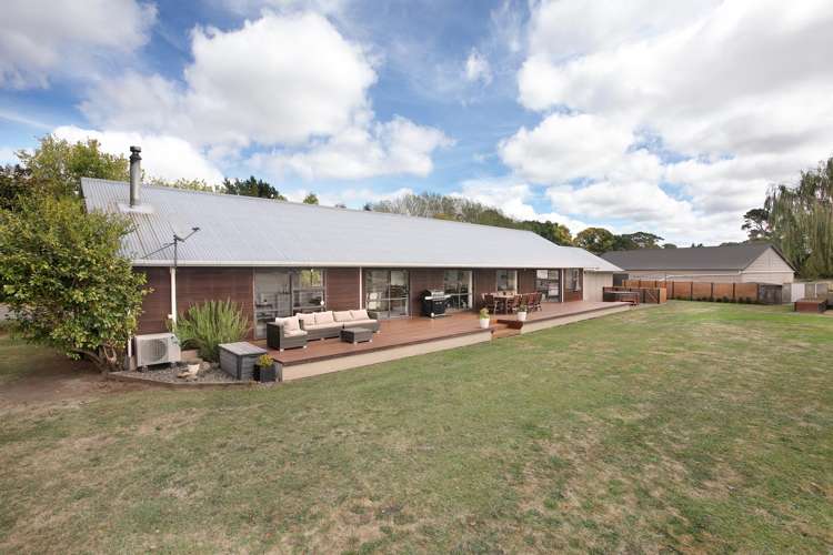 455b State Highway 1 Bulls_23