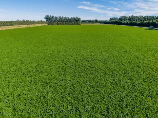 Rakaia Highway Chertsey_1