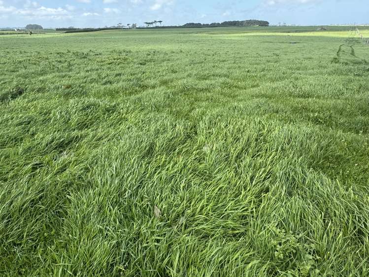 4782 South Road Opunake_12