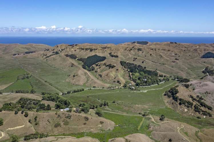 475 Te Akau South Road Te Akau_10