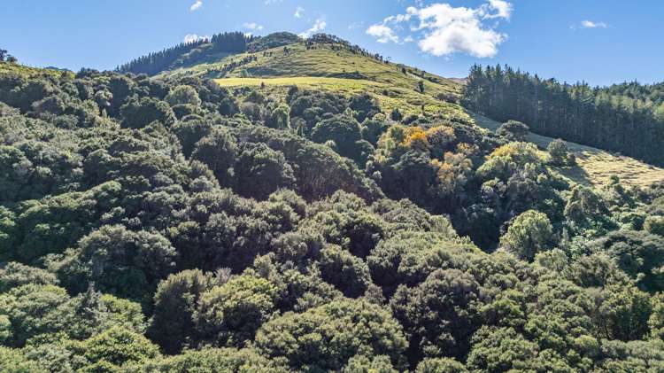 9 Harmans Track Little River_37