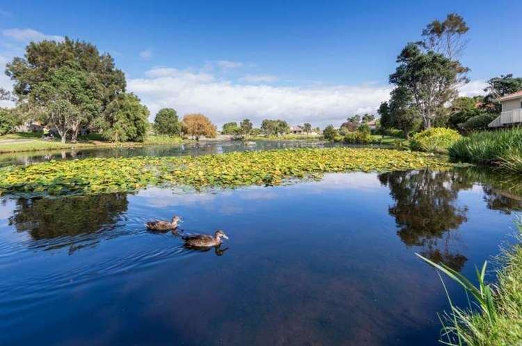 63 Lakeside Drive Orewa_5