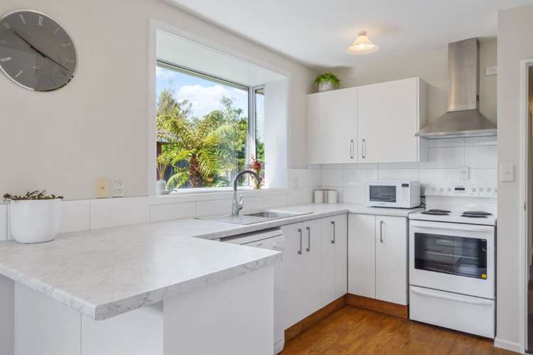 11b Strickland Street Sydenham_9