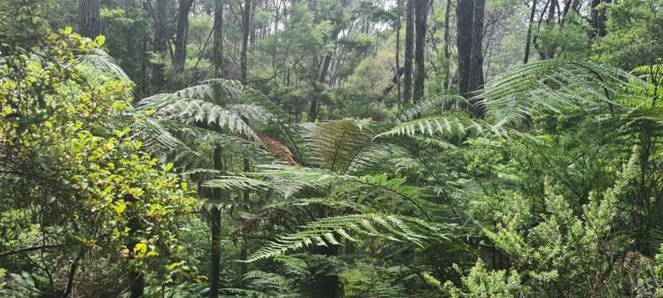 Garton Road Peria_16