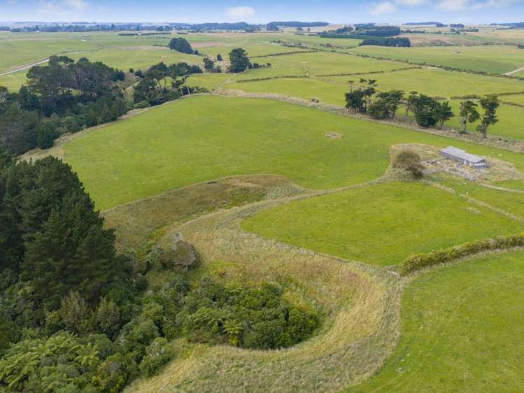 116 Karahaki Road Waverley_19