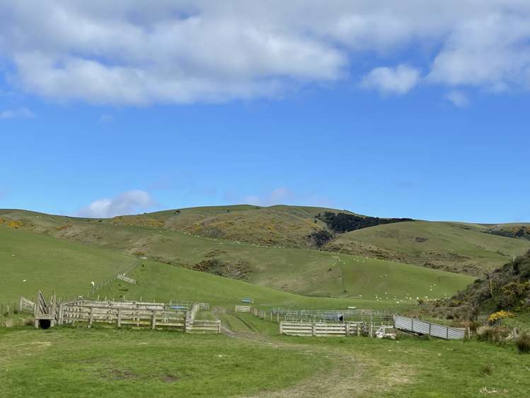 8 Munro Road Lawrence_17