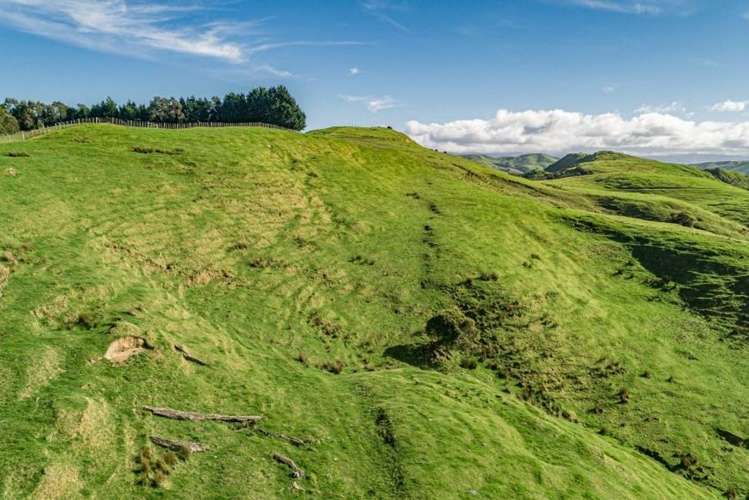 134 Bowen Road Eketahuna_7