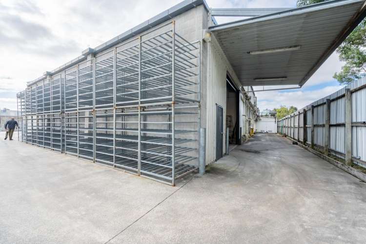 10b Maleme Street Greerton_11