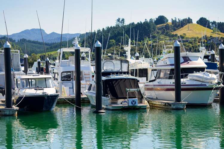 105 Elsinore Close Whangamata_29