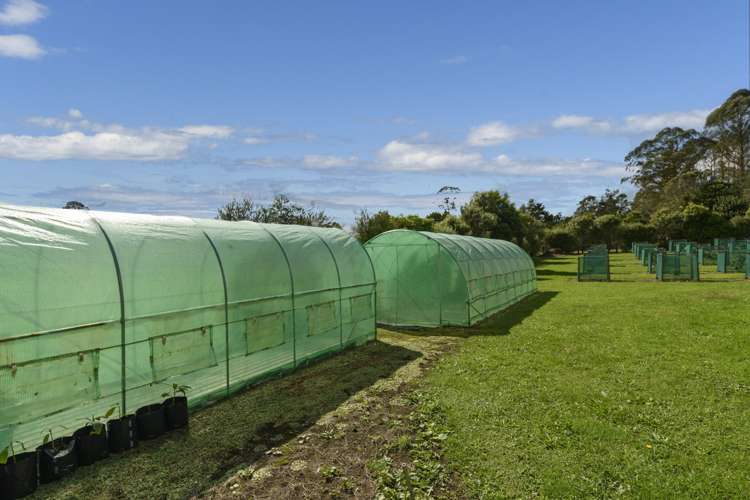 400 Mclaren Falls Road Kaimai_17