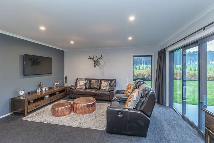 208 Potts Road Koputaroa_13