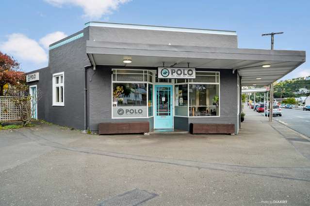 82 Rotherham Terrace Miramar_4