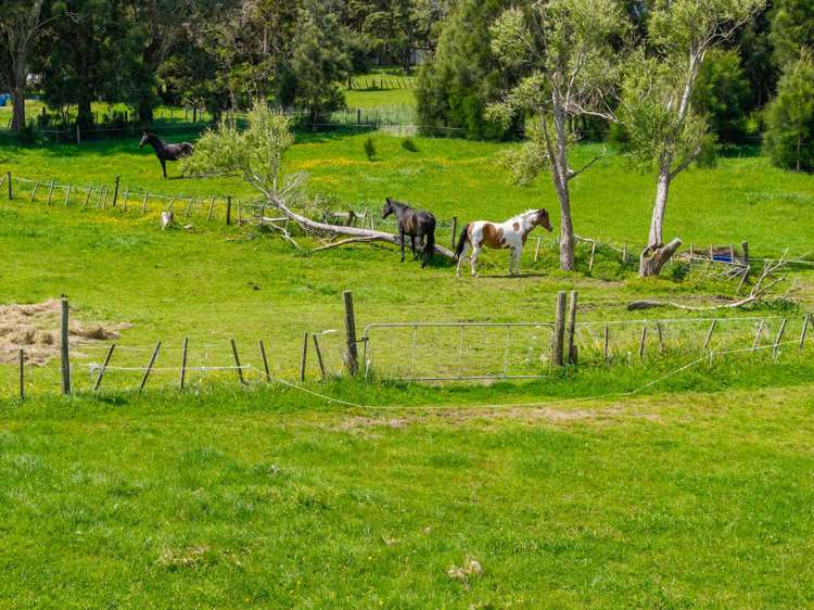 89 Hamilton Road Waimauku_22