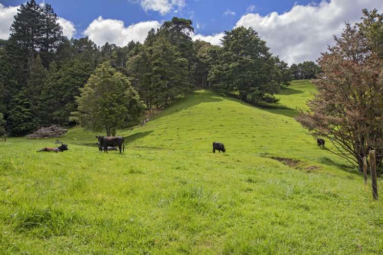 1366 Hukerenui Road Hikurangi Rd2_29