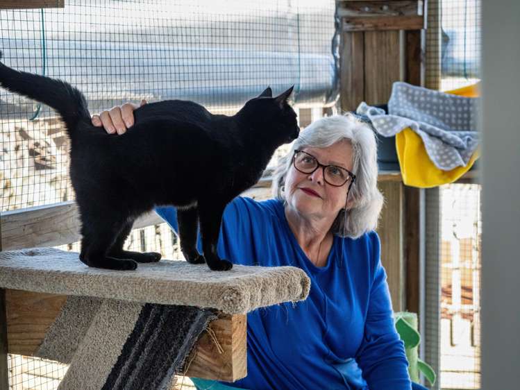 29 Walker Road West Katikati_31