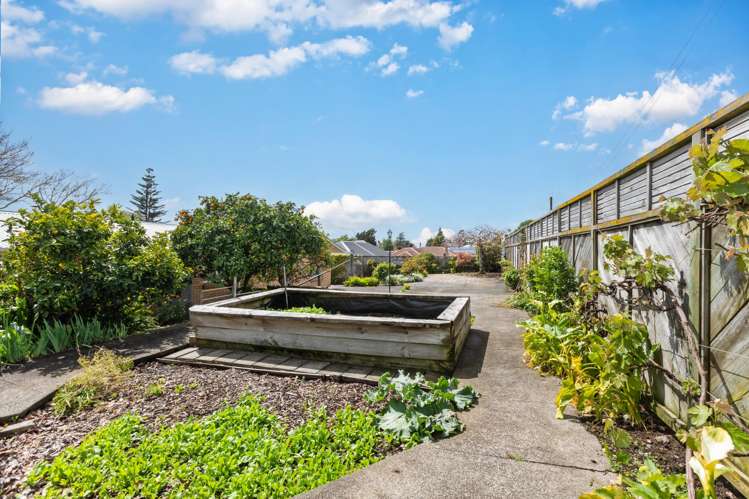 388 Thames Street Morrinsville_15