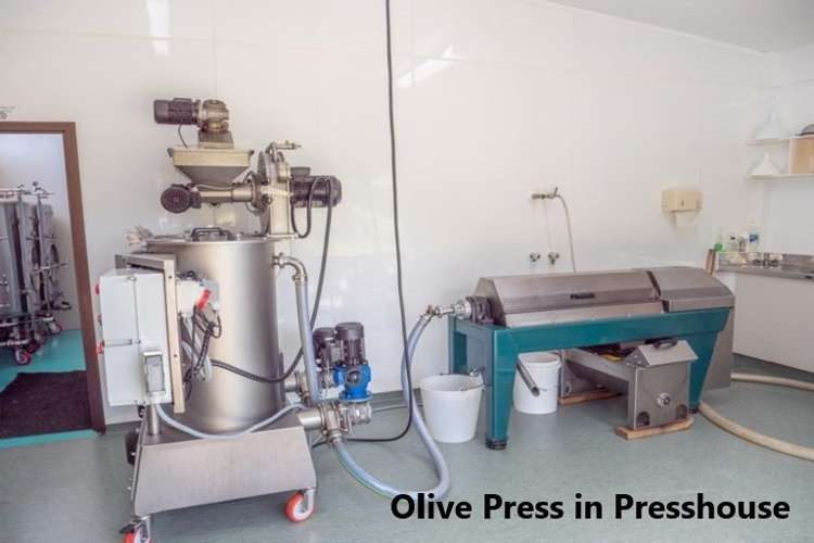 478 Hihi Road Mangonui_5