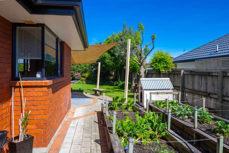 28 Hope Drive Witherlea_15