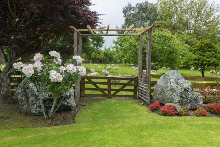 33 Caesar Road Ormond_15