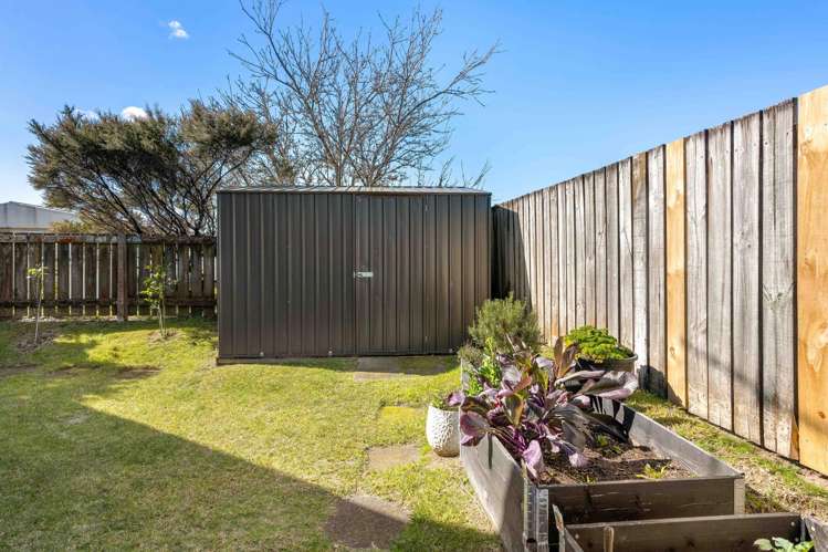 203b Achilles Avenue Whangamata_18