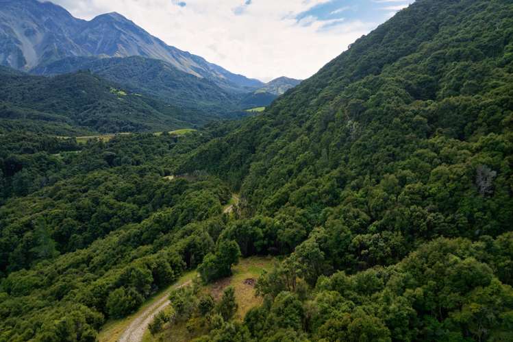 Lot 3/DP403510 Puhi Puhi Valley Road Kaikoura_12