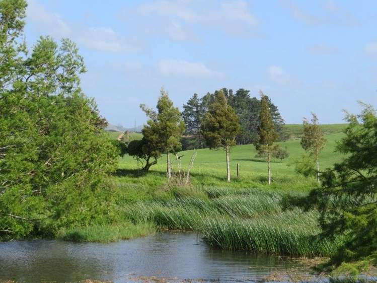 114 Pukekapia Road Ruawaro_4