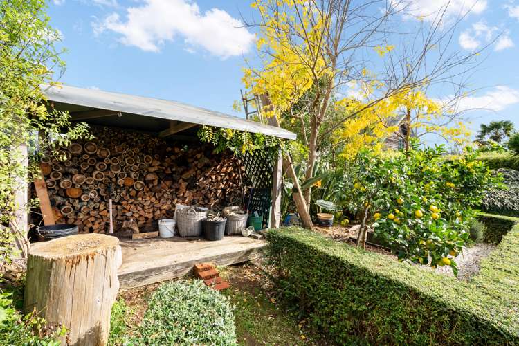 8 Lupton Avenue Kensington_24