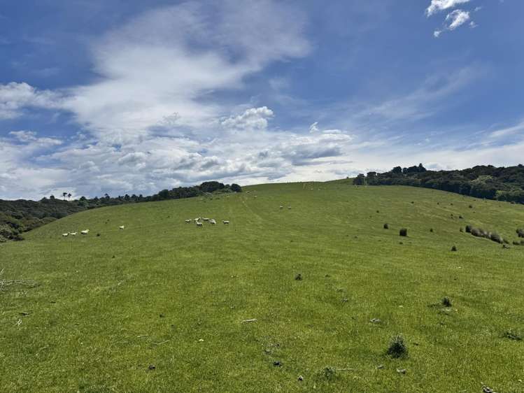 125 Sawmill Road Taieri Beach_21