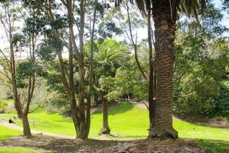 59b Saint Georges Bay Road Parnell_23