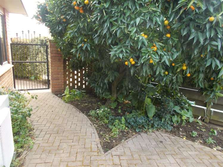 138 Tawari Street Matamata_11