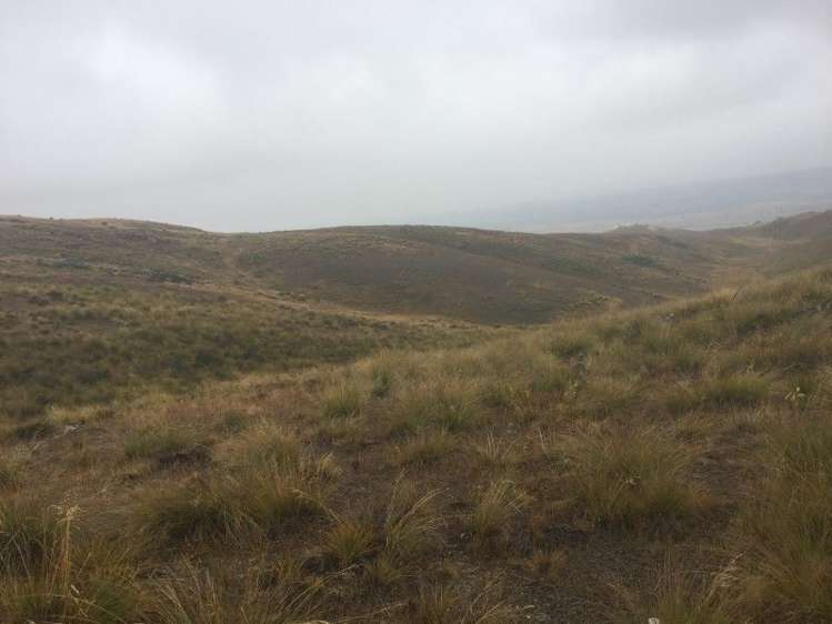 232 Ida Valley Back Road Oturehua_21