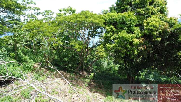 Address withheld Taveuni_10