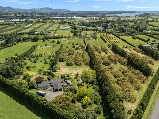 56 Thompsons Track Aongatete_1