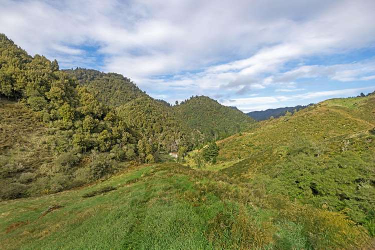Raysburn, State Highway 2 Opotiki Surrounds_24