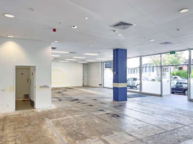 Aylesbury Street Pakuranga_3