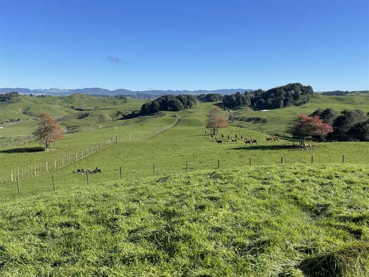 80a Mangaotaki Road Piopio_43