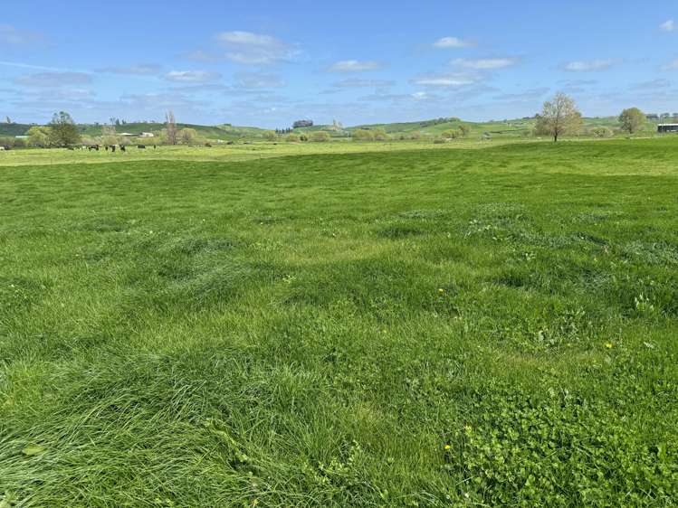 260 Maihiihi Road Maihiihi_7