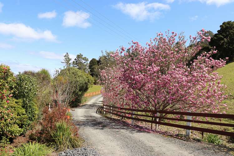 412a Paihia Road Kawakawa_11
